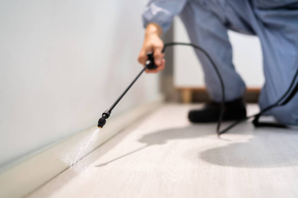 Licensed Wasp Removal service in North Industry, OH - Show Me Pest Control