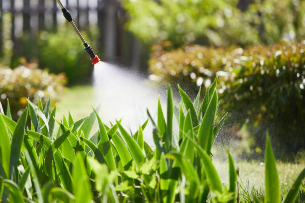 24/7 Emergency Wasp Removal experts in North Industry, OH