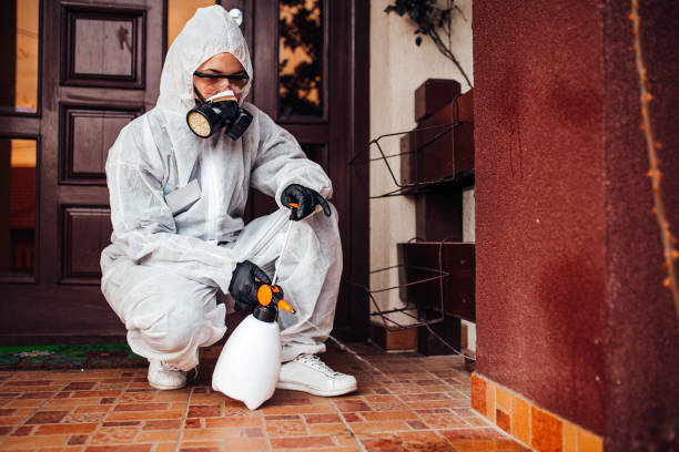 Reliable Wasp Removal contractor in North Industry, OH by Show Me Pest Control