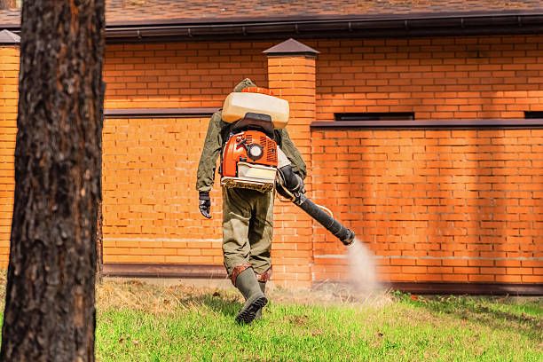 Top rated local Wasp Removal specialists in North Industry, OH